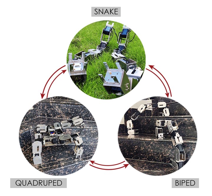 ReQuBiS reconfigurable quadrupedal-bipedal snake robot